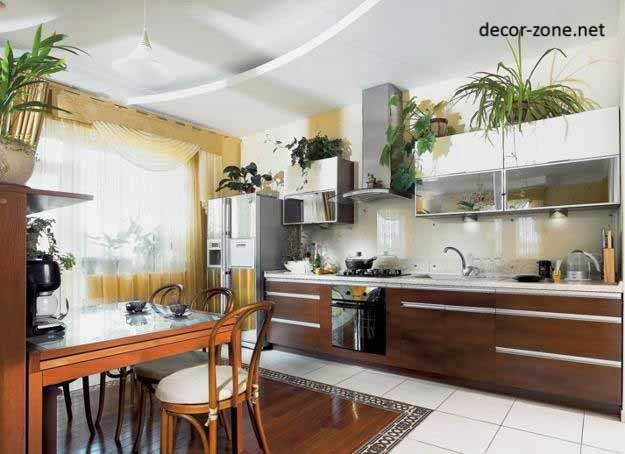plants, kitchen decorating ideas plants shelves in the interior, kitchen decorating ideas