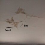 Ceiling repair : options to repair all ceiling types (videos)