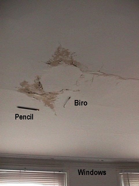 Ceiling repair : options to repair all ceiling types (videos)