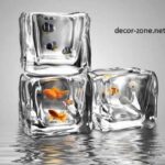 creative aquarium design in the form of an ice cube