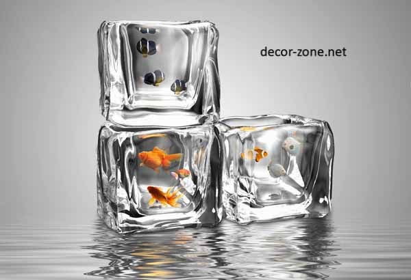 creative aquarium design in the form of an ice cube