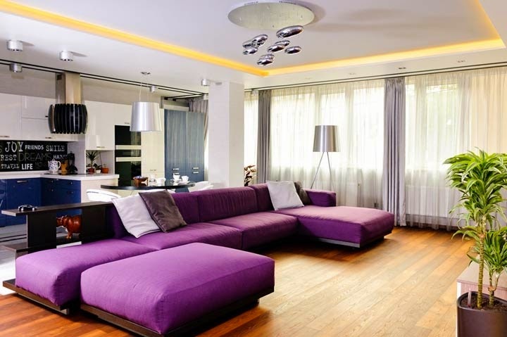 comfortable apartment design with purple living room furniture